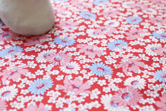 USPシュガーデイジー